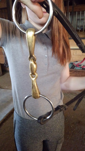 Home Improvement Store «Tractor Supply Co.», reviews and photos, 471 E Main St STE 3, Gouverneur, NY 13642, USA