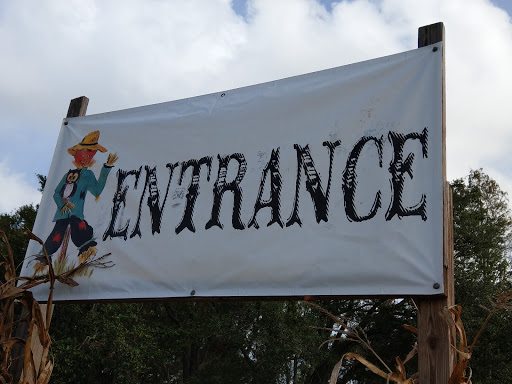 Tourist Attraction «Partin Ranch Corn Maze», reviews and photos, 5601 N Canoe Creek Rd, Kenansville, FL 34739, USA