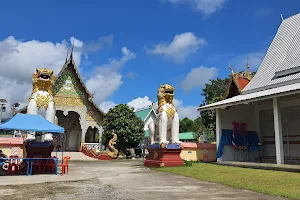 Wat Pa Tueng image