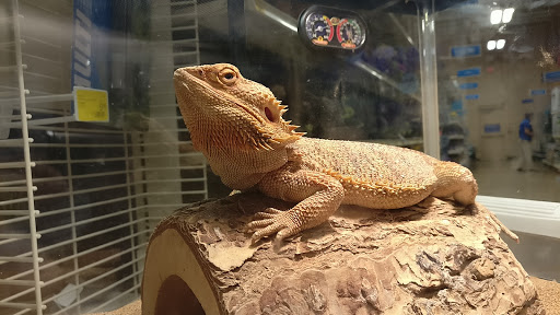 Pet Supply Store «PetSmart», reviews and photos, 2356 W State Rte 89A, Sedona, AZ 86336, USA