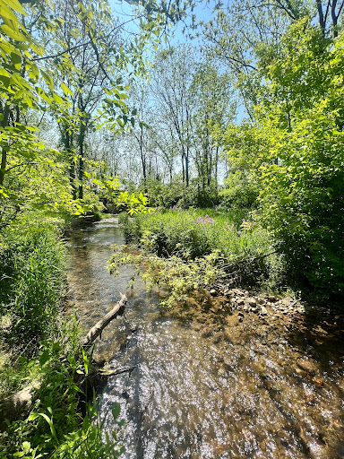 Wayne A. Grube Memorial Park