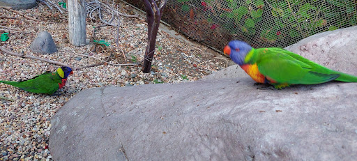 Gift Shop «Pacific Collections Gift Shop», reviews and photos, 100 Aquarium Way, Long Beach, CA 90802, USA