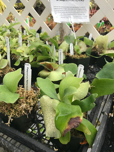 Plant Nursery «California Carnivores», reviews and photos, 2833 Old Gravenstein Hwy, Sebastopol, CA 95472, USA