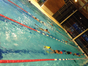 Photo n°1 de CPCV - Club de Plongée des Copains du Vexin à Trie-Château ()