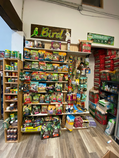 Pet Supply Store «I Love My Pet Food and Supplies», reviews and photos, 899 Nostrand Ave, Brooklyn, NY 11225, USA