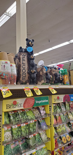 Grocery Store «Jewel-Osco», reviews and photos, 20 Biesterfield Rd, Elk Grove Village, IL 60007, USA