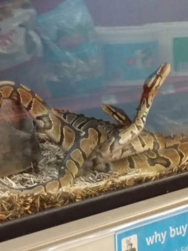 Pet Supply Store «Petco Animal Supplies», reviews and photos, 1207 S Caraway Rd, Jonesboro, AR 72401, USA