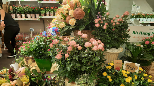 Florist courses online Ho Chi Minh