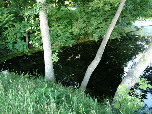 Golf Course «Birnamwood Golf Course», reviews and photos, 12424 Parkwood Dr, Burnsville, MN 55337, USA