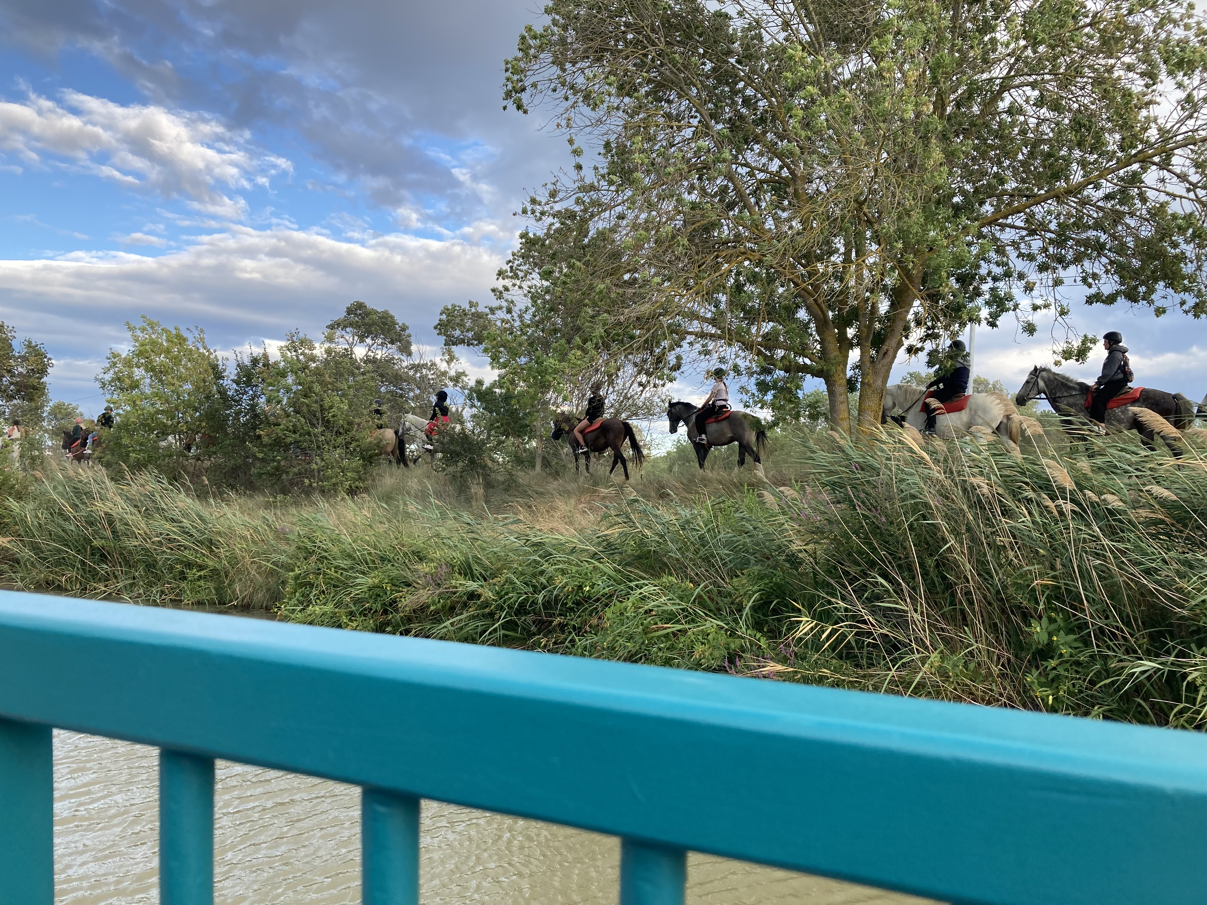 Photo n° 1 de l'avis de roland.i fait le 04/08/2023 à 21:13