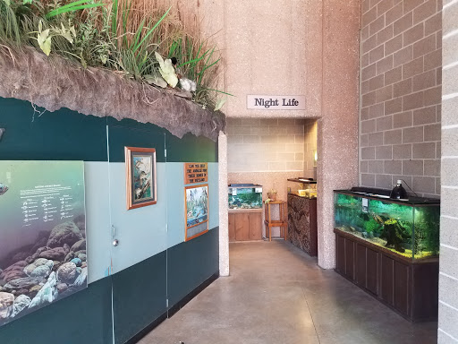 Nature Preserve «Lakeside Nature Center», reviews and photos, 4701 E Gregory Blvd, Kansas City, MO 64132, USA