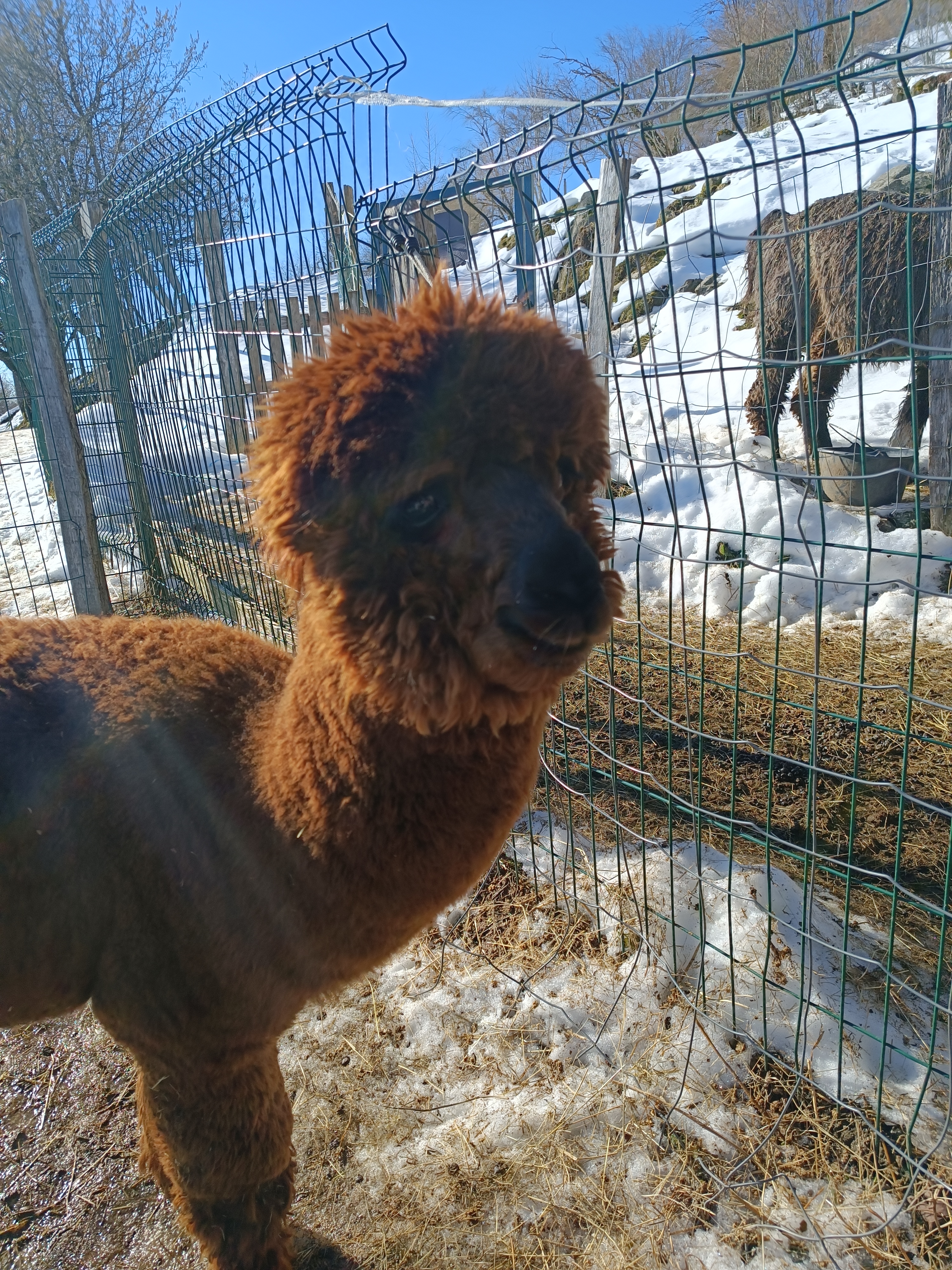 Photo n° 2 de l'avis de Léa.a fait le 23/02/2023 à 07:29