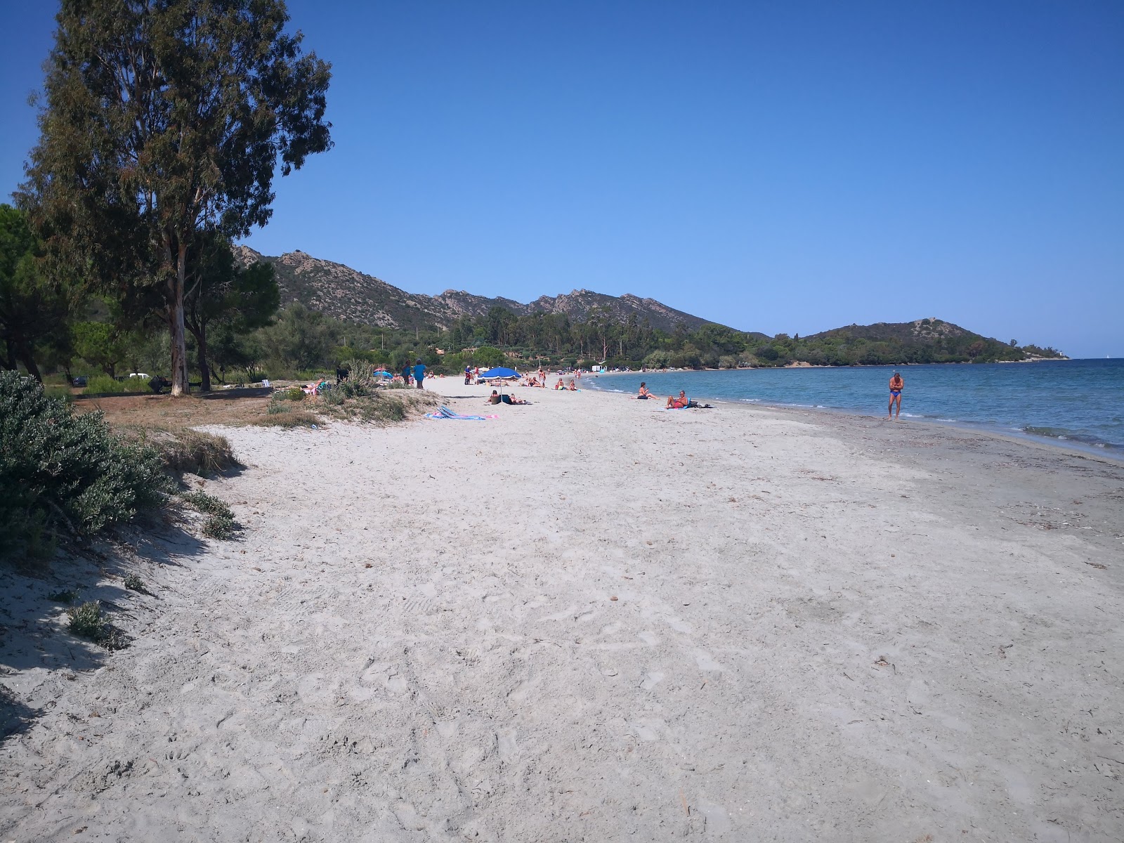 Photo de La Roya beach avec plage spacieuse
