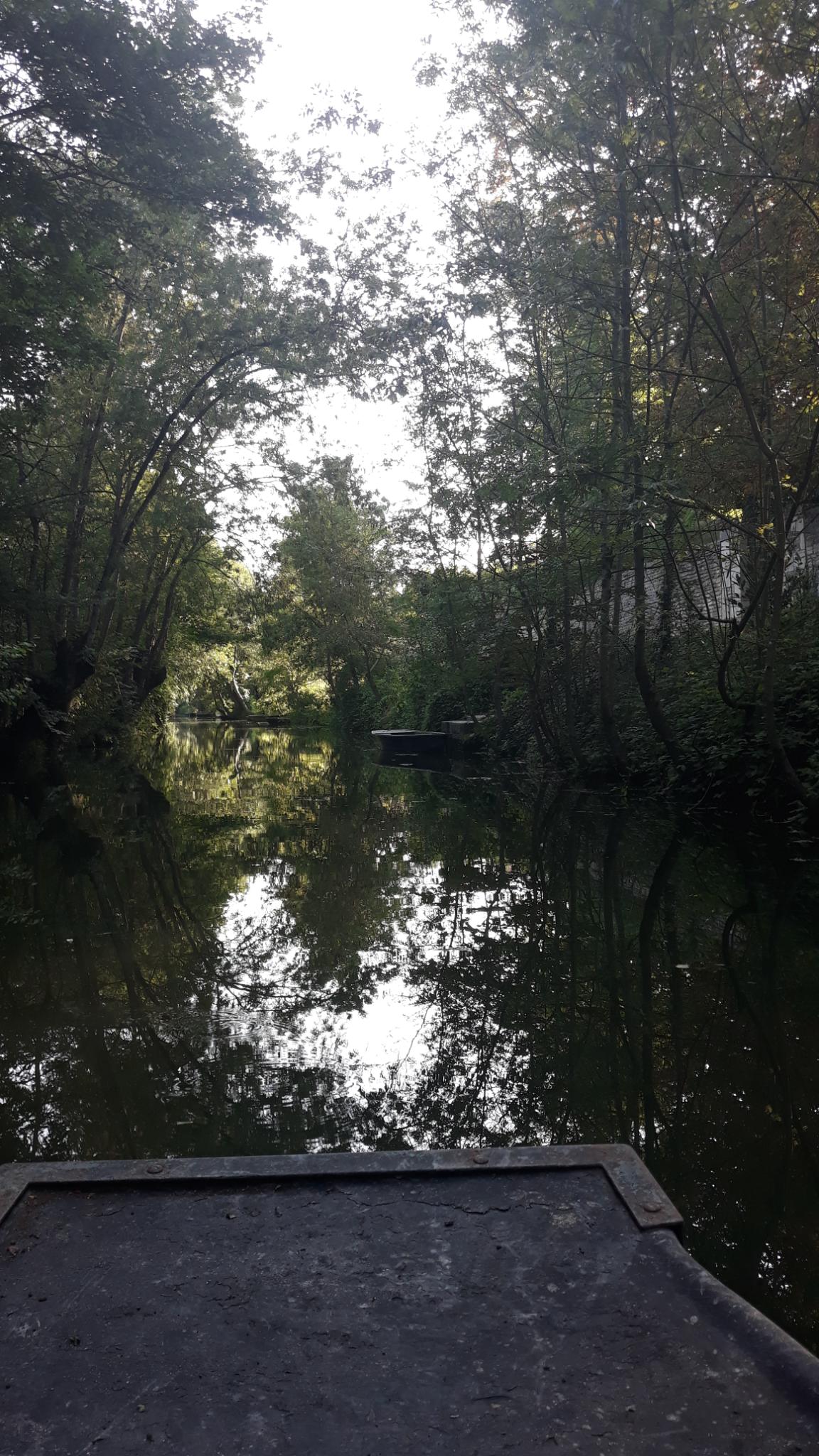 Photo n° 1 de l'avis de Marc.i fait le 13/08/2021 à 15:15