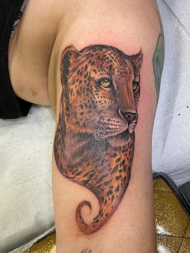 Explore free bird tattoo ideas, creative tattoo ideas in El Cajon, available at Tattoo Factory