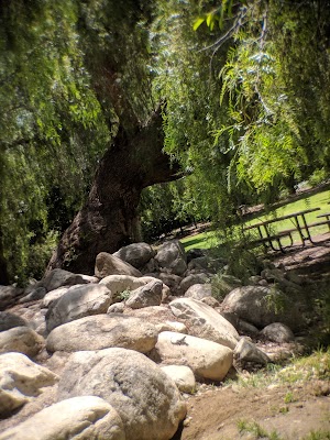 Higginbotham Park - photo 10