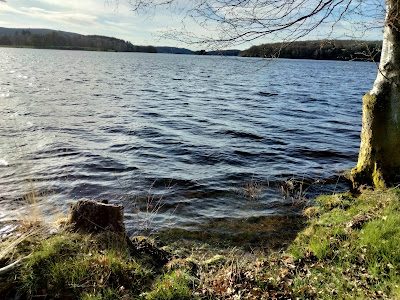 Port de Nergout - Le Lac de Vassivière à Beaumont-du-Lac