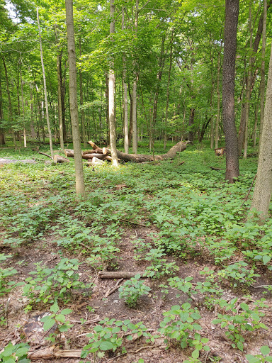 Park «Nowell Park», reviews and photos, 199 Mills Rd, Joliet, IL 60433, USA