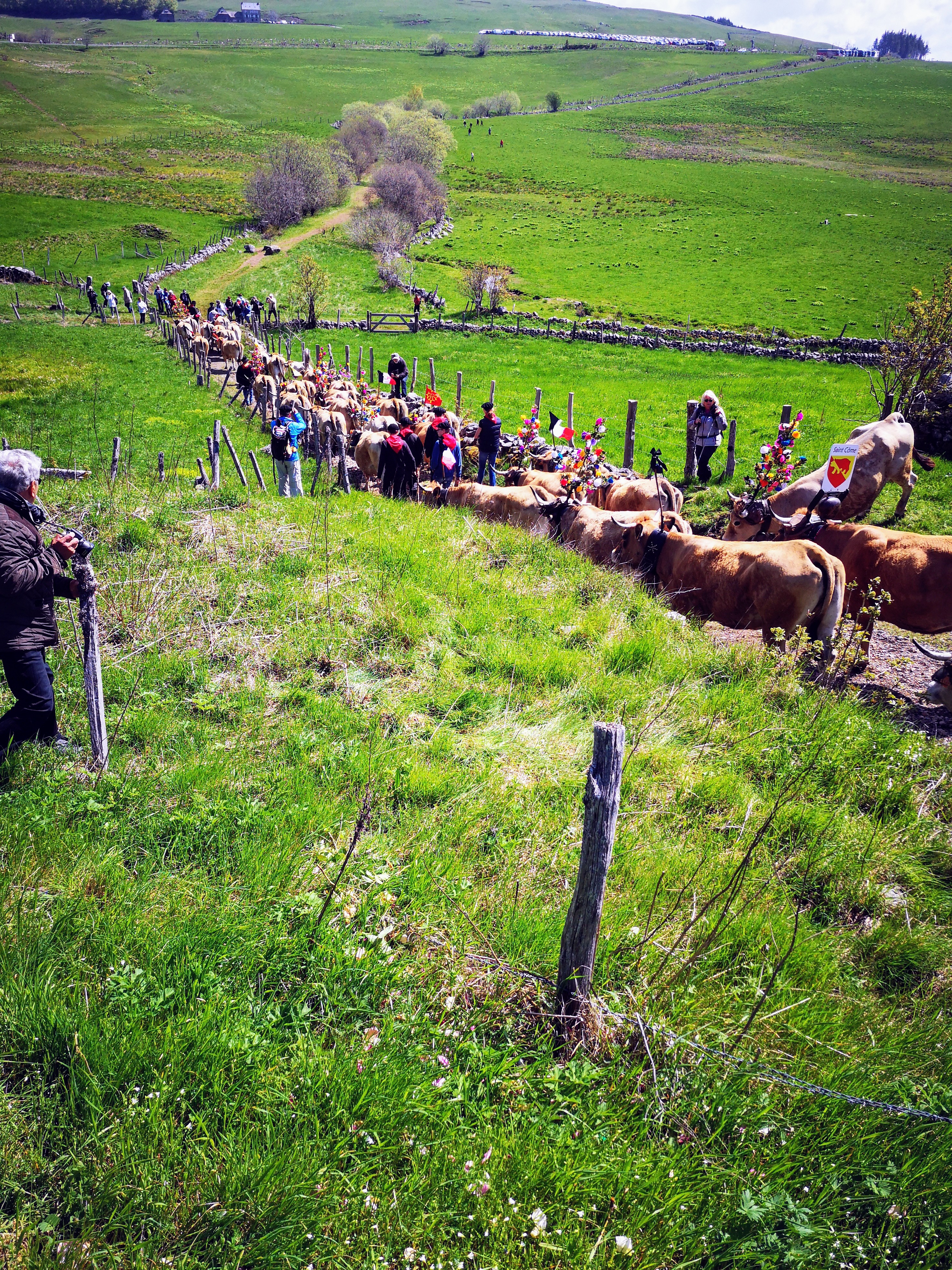 Photo n° 1 de l'avis de Frederic.l fait le 25/06/2019 à 13:26