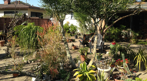 Orange County Succulents and Desert Plants