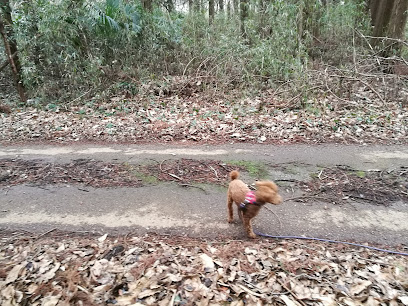 ちばぎん更科グラウンド