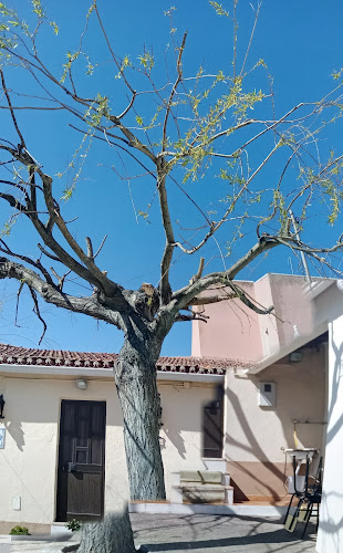 Avaliações doDanceteria Cerâmica em Torres Vedras - Casa noturna