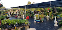 Three Seasons Outdoor Living and Landscapes - Photo 7 - Car repair in Palmetto, FL, Montgomery