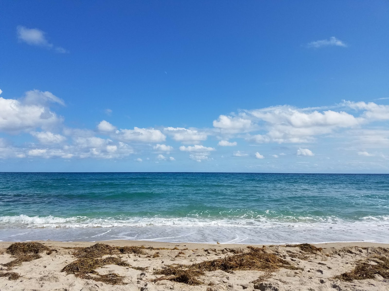 Gulfstream Park beach'in fotoğrafı imkanlar alanı