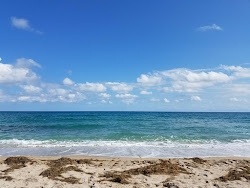Gulfstream Park beach'in fotoğrafı imkanlar alanı