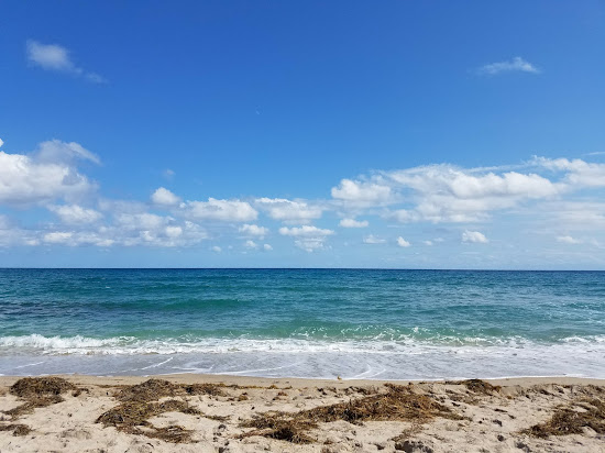 Gulfstream Park beach