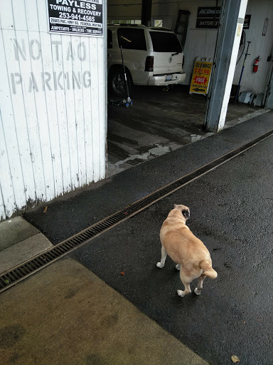 Auto Repair Shop «Mechanic Northwest», reviews and photos, 30402 Pacific Hwy S, Federal Way, WA 98003, USA