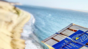 Photo n°26 de Le Pique-Nique du Bassin à Arcachon ()