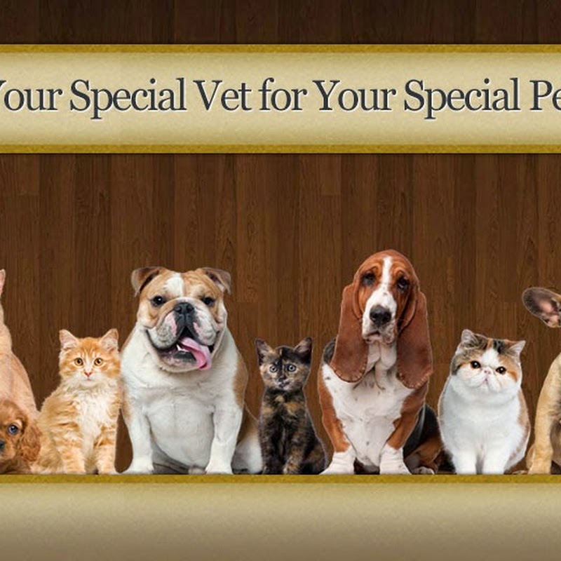 North Star Animal Hospital