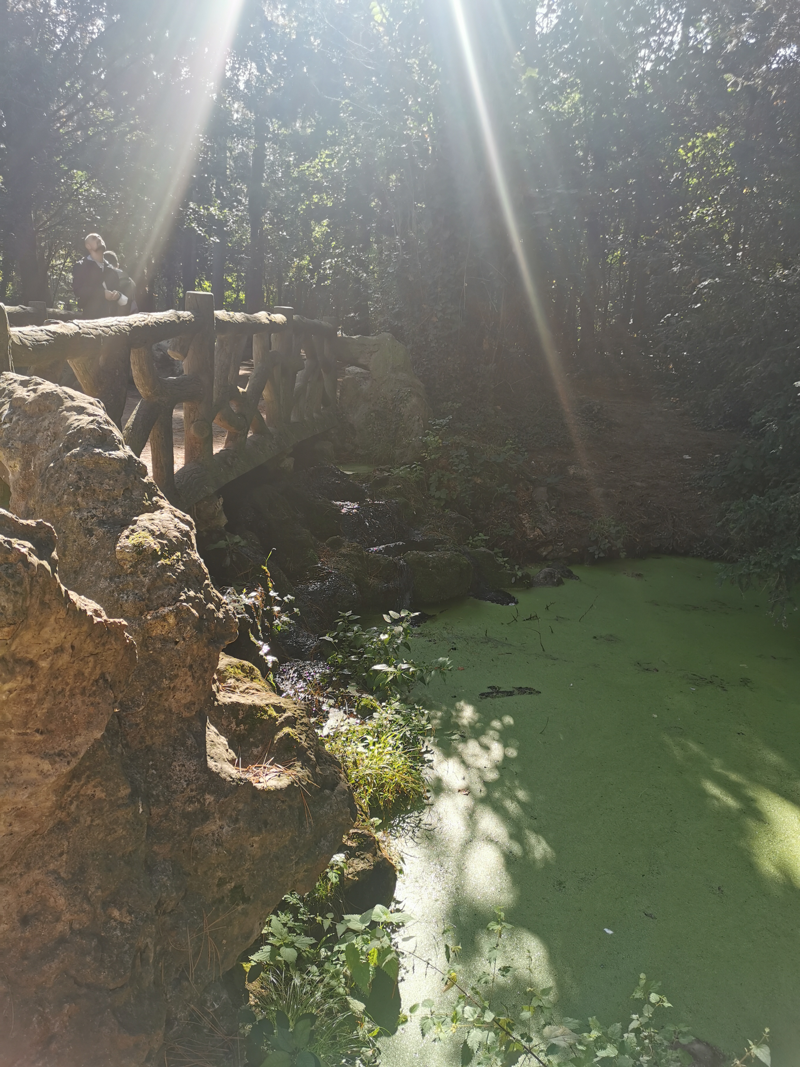 Photo n° 6 de l'avis de Saida.A fait le 17/01/2018 à 19:06