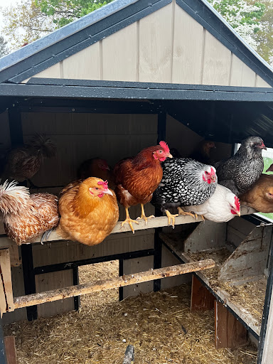 Home Improvement Store «Tractor Supply Co.», reviews and photos, 293 US-206 #15A, Flanders, NJ 07836, USA