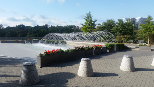 Computer Store «Apple Georgetown», reviews and photos, 1229 Wisconsin Ave NW, Washington, DC 20007, USA