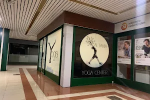 Althaia Yoga Center image
