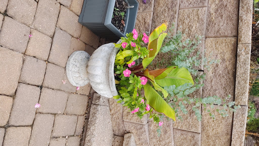 Florist «Flowers By Paulette», reviews and photos, 258 N Queen St, Lancaster, PA 17603, USA