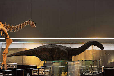 Musée des Dinosaures d'Espéraza à Espéraza
