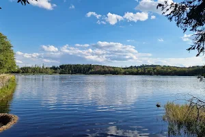 Pařezitý large pond image