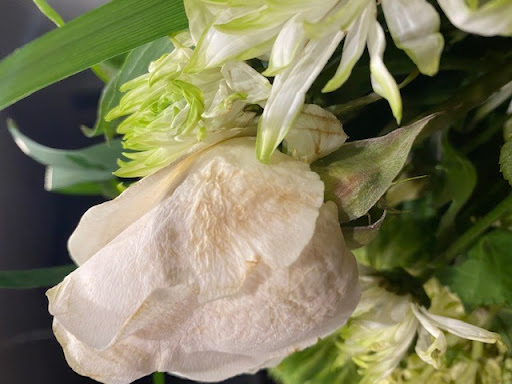 Gift Shop «Edible Arrangements», reviews and photos, 1120 N Fielder Rd, Arlington, TX 76012, USA