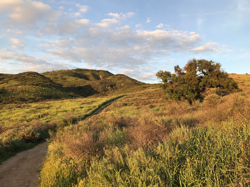 Lang Ranch Open Space