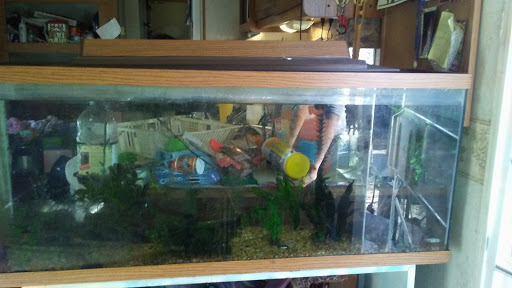 Mobile Home Park «Rocky Water Park», reviews and photos, 2664 Pineapple Ave, Melbourne, FL 32935, USA