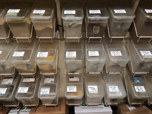 Health Food Store «Glut Food Co-Op», reviews and photos, 4005 34th St, Mt Rainier, MD 20712, USA