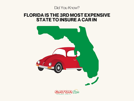 Auto Insurance Agency «Gator Insurance Service», reviews and photos