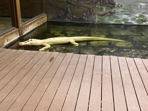 Theme Park «Fun Spot America Theme Parks-Orlando», reviews and photos, 5700 Fun Spot Way, Orlando, FL 32819, USA