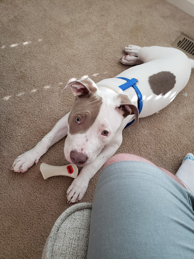 Pet Supply Store «Mud Bay», reviews and photos, 8909 Martin Way E, Lacey, WA 98516, USA