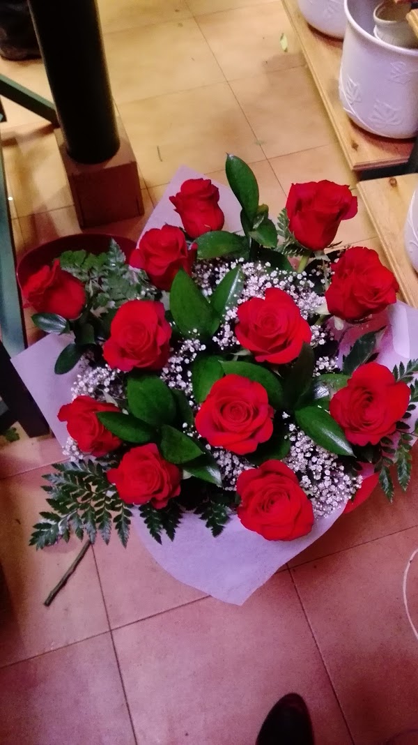 Floristería El Lazo