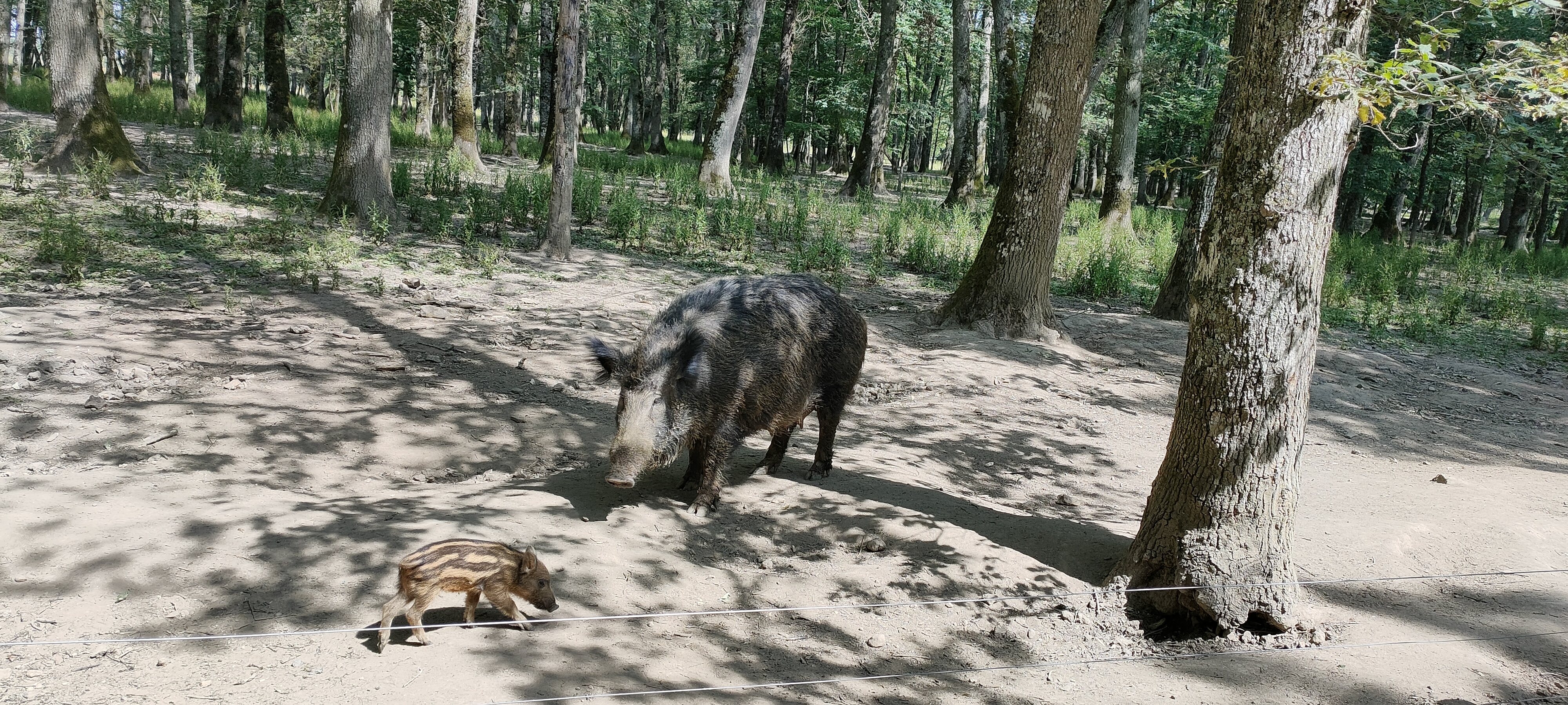 Photo n° 3 de l'avis de Quatre.� fait le 04/06/2023 à 10:43