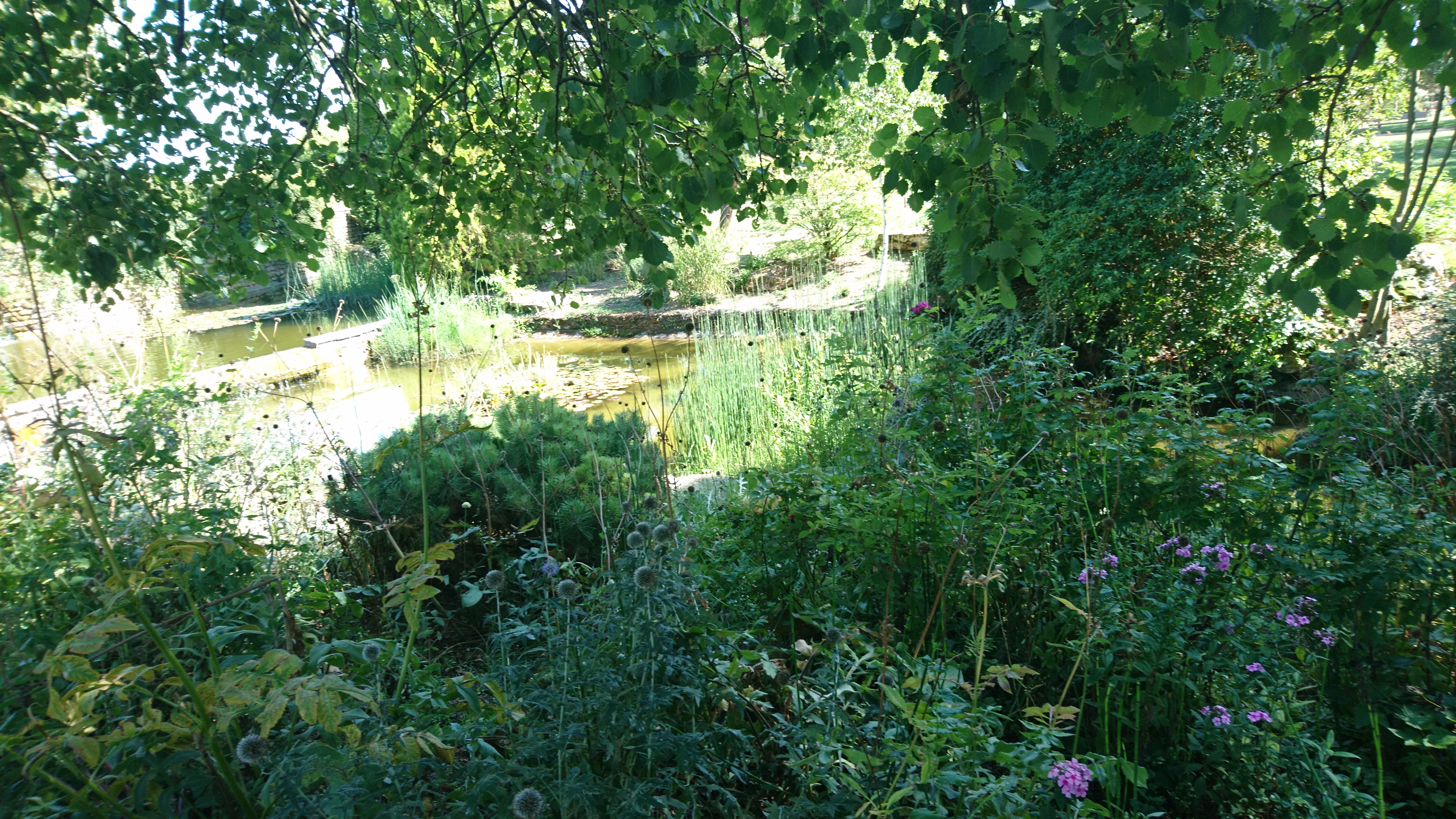 Photo n° 37 de l'avis de david.o fait le 23/08/2019 à 15:25
